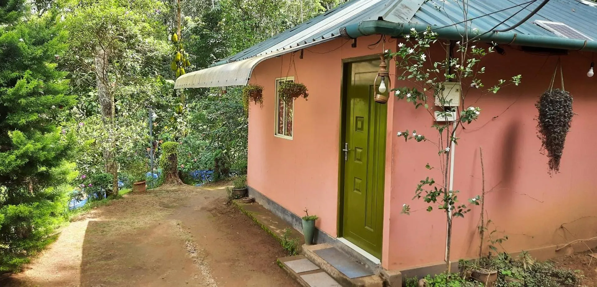Pepper County Farm Stay Munnar