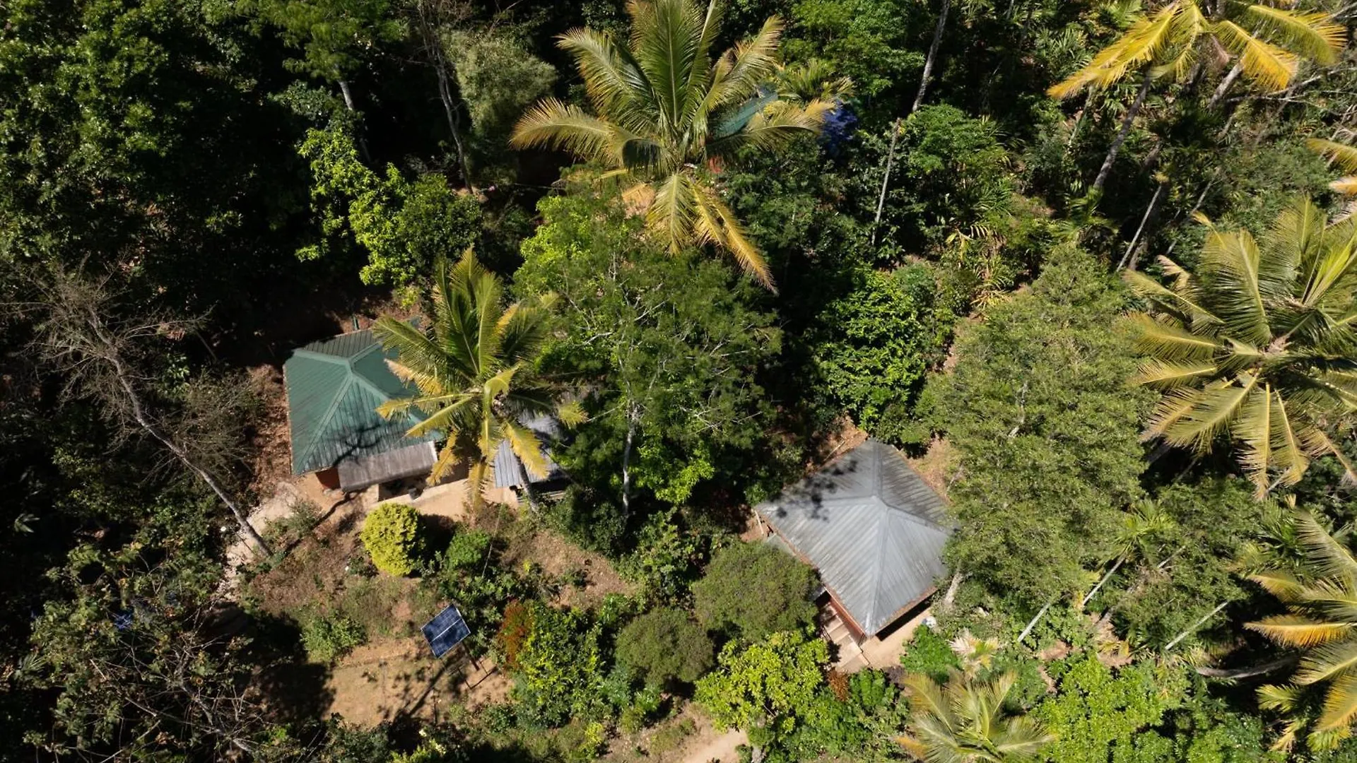 Pepper County Farm Stay Munnar