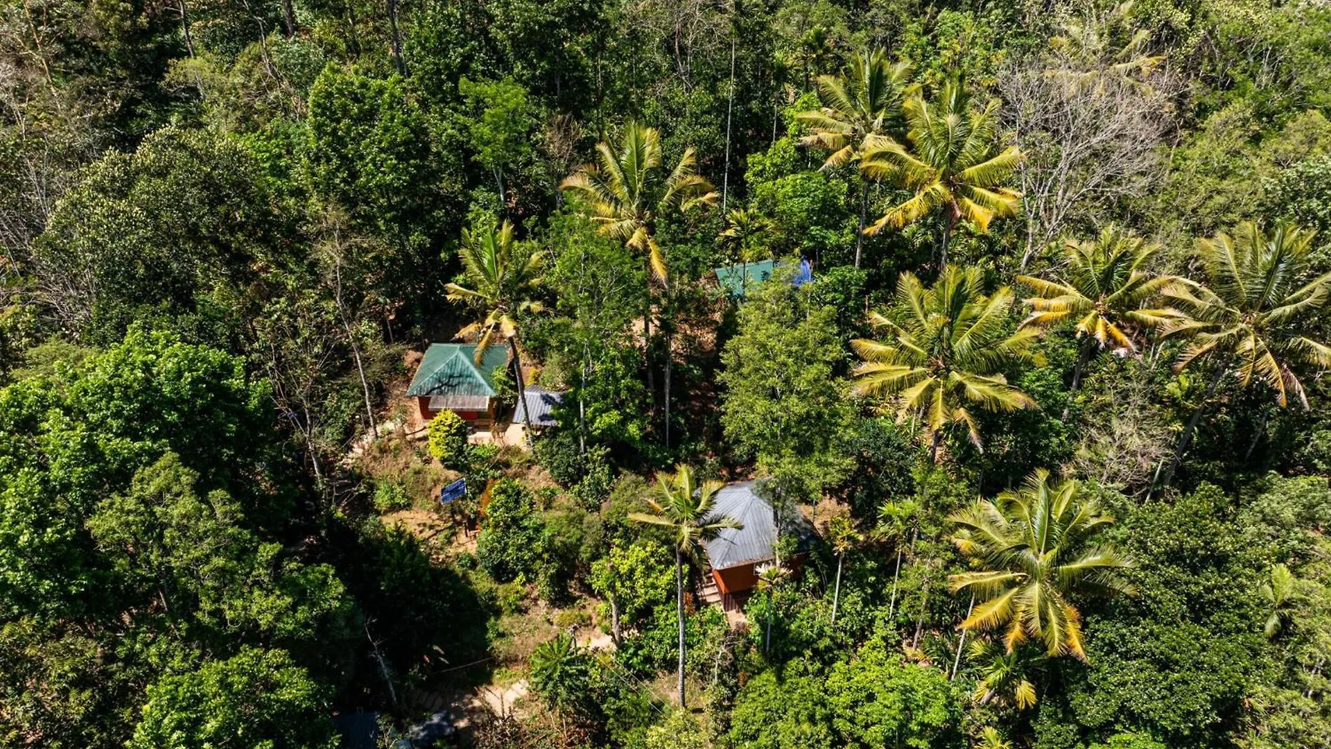 Pepper County Farm Stay Munnar