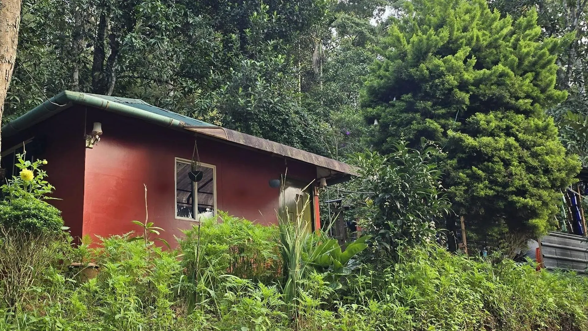 Pepper County Farm Stay Munnar