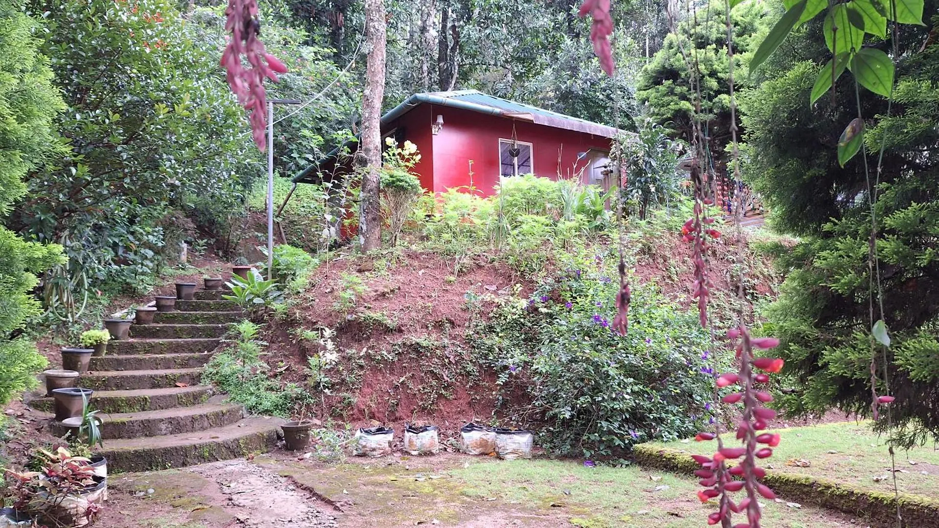 Pepper County Farm Stay Munnar 0*,  India