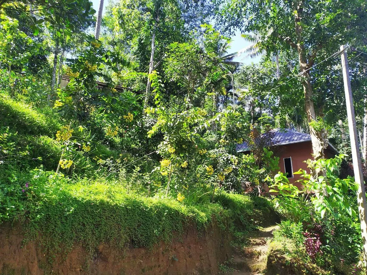 Pepper County Farm Stay Munnar India