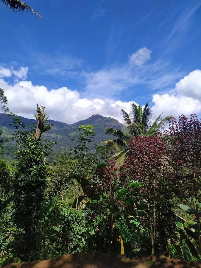 Pepper County Farm Stay Munnar 0*,